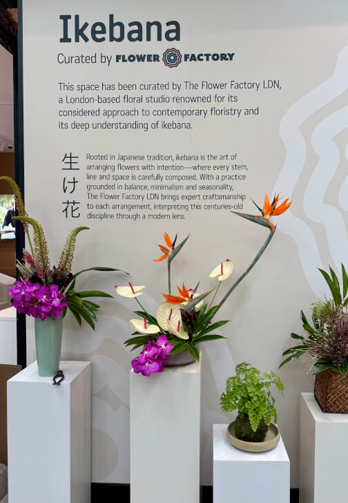 Ikebana Flower Arranging Workshop