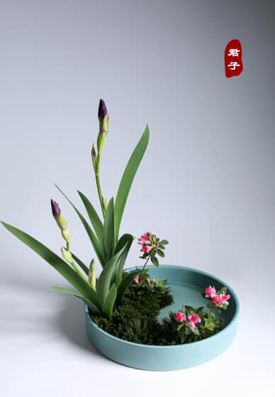 Ikebana Introductory Course - Ohara School of Ikebana