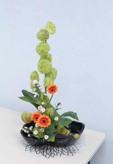 Ikebana Introductory Course - Ohara School of Ikebana