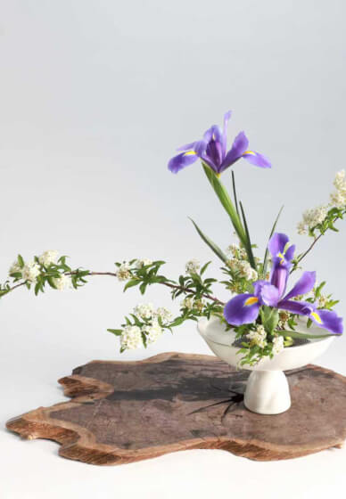 Ikebana Introductory Course - Ohara School of Ikebana