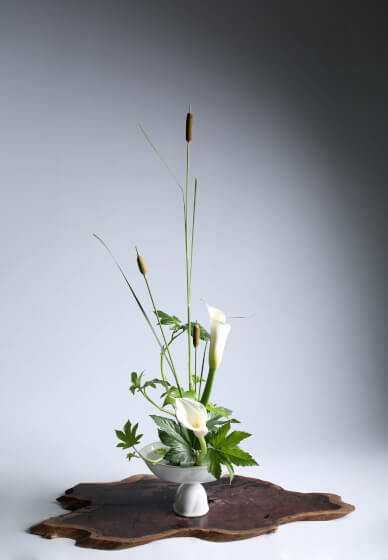 Ikebana Introductory Course - Ohara School of Ikebana