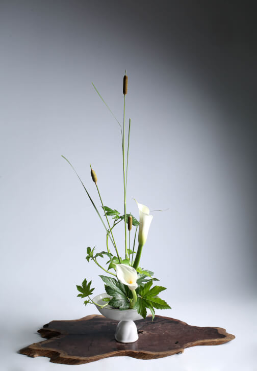 Ikebana Introductory Course - Ohara School of Ikebana
