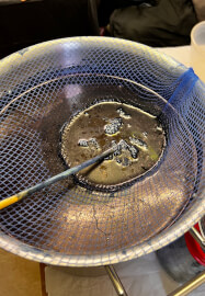 Indigo Dyeing Workshop Using Shibori