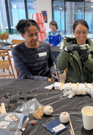 Indigo Dyeing Workshop Using Shibori