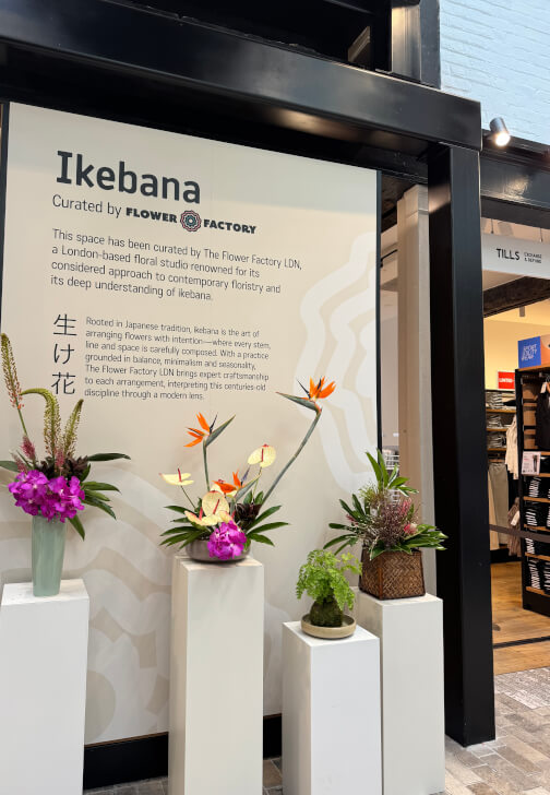Intermediate Ikebana Workshop - Beyond the Basics