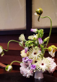 Intermediate Ikebana Workshop - Beyond the Basics