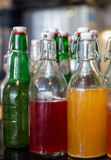 Intro to Kombucha Workshop