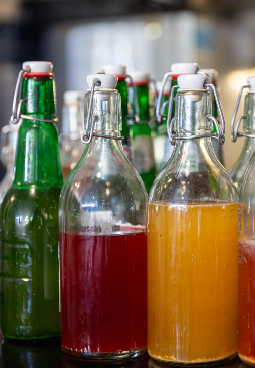 Intro to Kombucha Workshop
