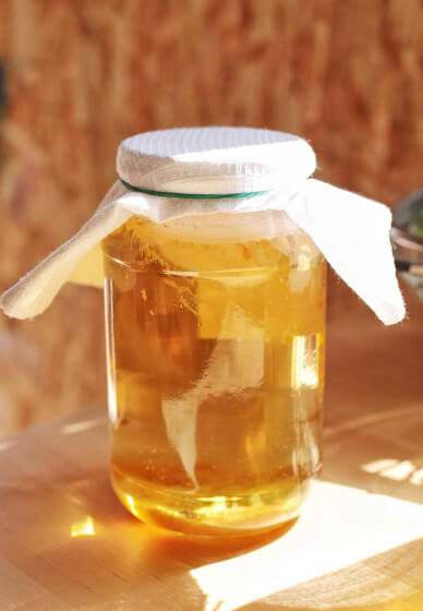 Intro to Kombucha Workshop