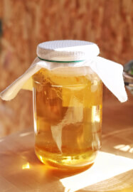 Intro to Kombucha Workshop