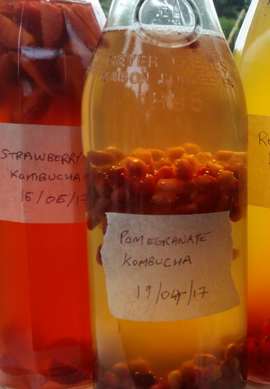 Intro to Kombucha Workshop