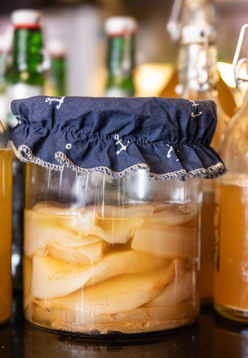 Intro to Kombucha Workshop