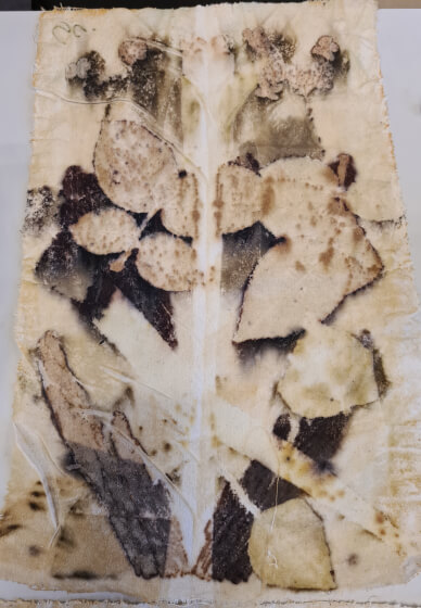 Introduction to Botanical Printing Workshop