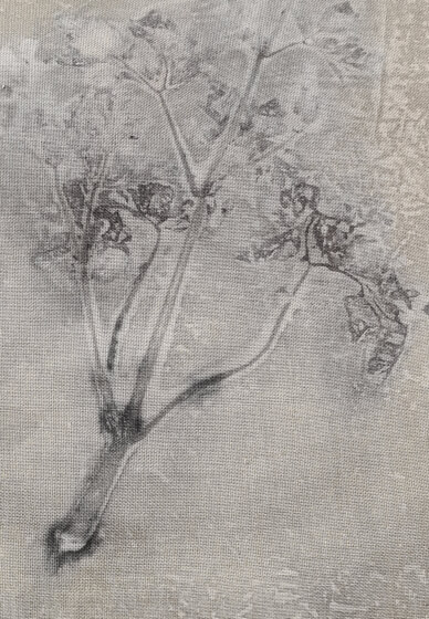 Introduction to Botanical Printing Workshop