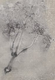 Introduction to Botanical Printing Workshop
