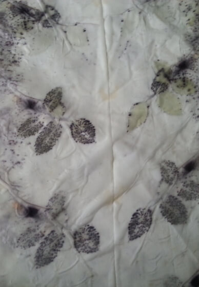 Introduction to Botanical Printing Workshop