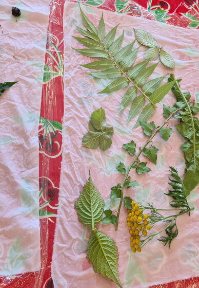 Introduction to Botanical Printing Workshop