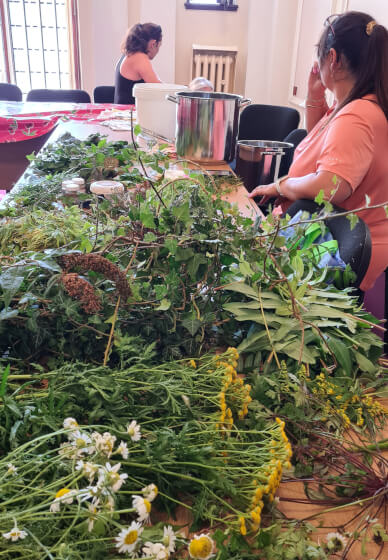 Introduction to Botanical Printing Workshop
