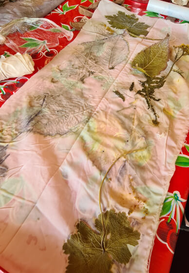 Introduction to Botanical Printing Workshop