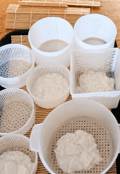 Introduction to Cheese Making Workshop