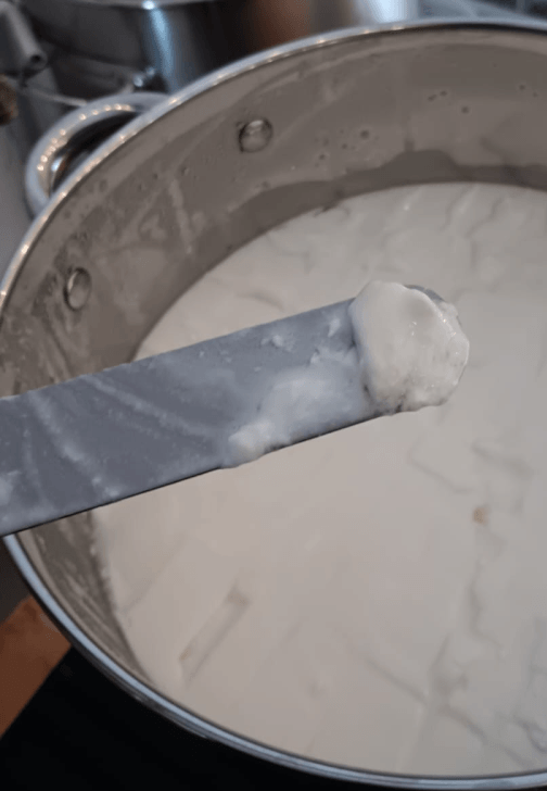 Introduction to Cheese Making Workshop