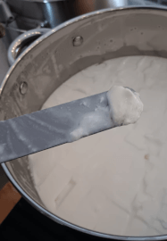 Introduction to Cheese Making Workshop