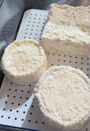 Introduction to Cheese Making Workshop