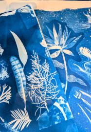 Introduction to Cyanotype Printmaking Workshop