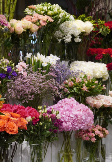 Introduction to Floristry Workshop
