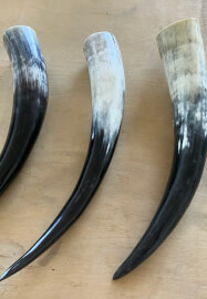 Introduction to Horn in Contemporary Jewellery Class