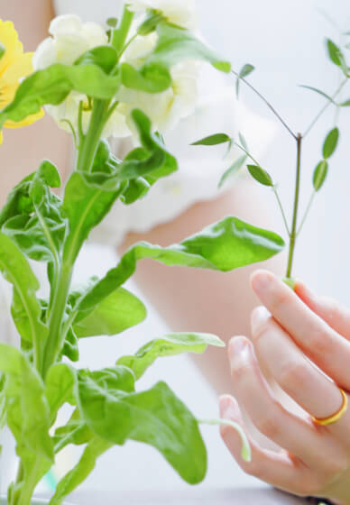 Japanese Flower Arranging Class: Explore the Beauty of Ikebana