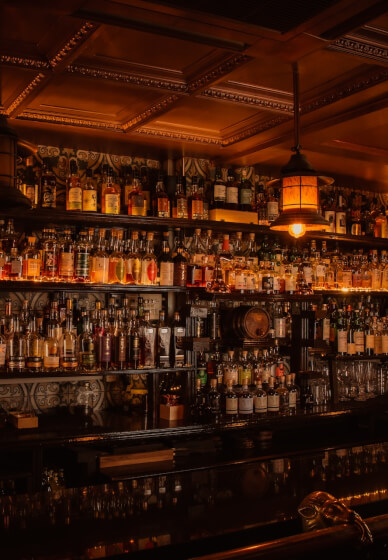 Japanese Gin Masterclass