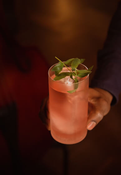 Japanese Gin Masterclass