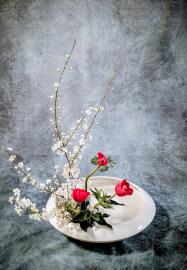 Japanese Ikebana Flower Arranging Workshop