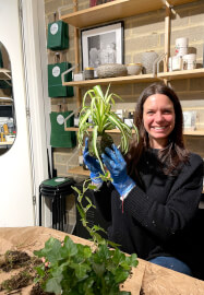 Japanese Kokedama Workshop