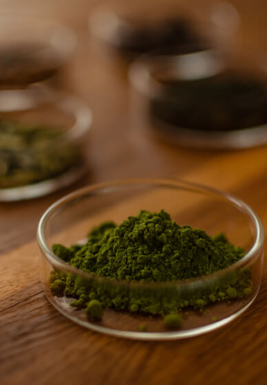 Japanese Tea Tasting: Choose Your Own Tea Journey