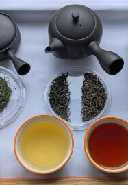 Japanese Tea Tasting: Choose Your Own Tea Journey