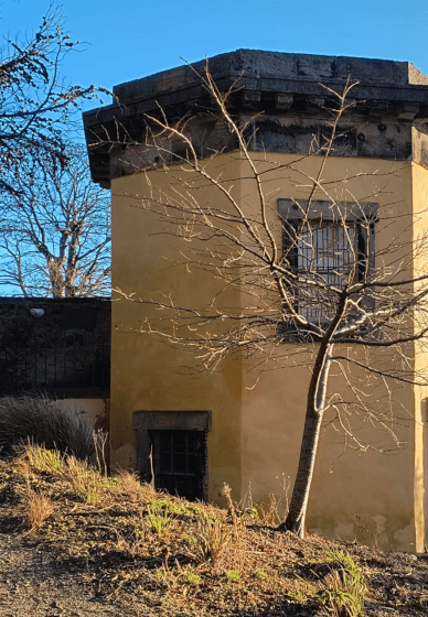 Joyful Spring Gathering: Forest Bathing and Aromatherapy
