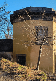 Joyful Spring Gathering: Forest Bathing and Aromatherapy