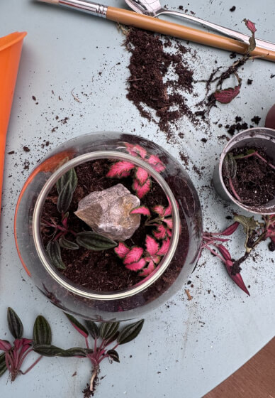 Kids LED Terrarium Lamp Workshop