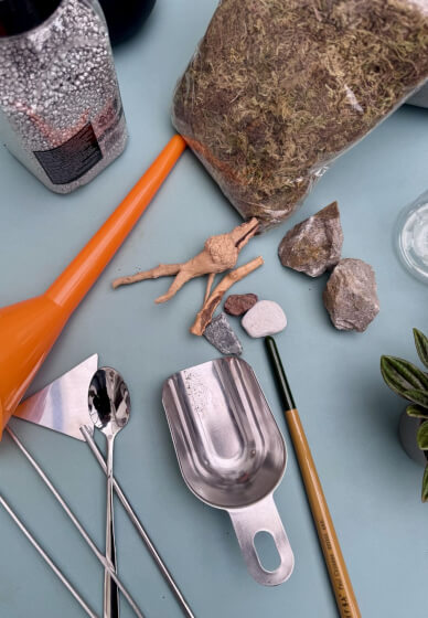 Kids LED Terrarium Lamp Workshop