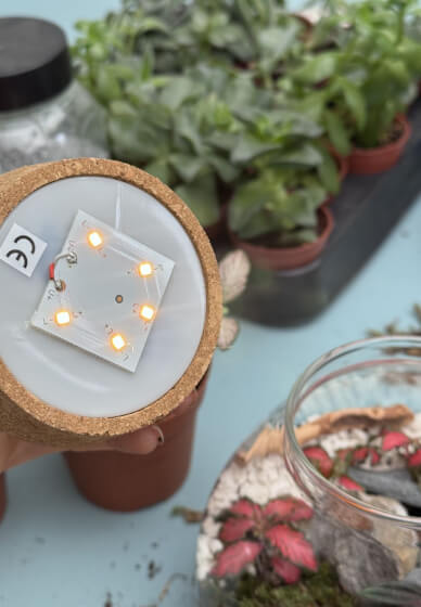 Kids LED Terrarium Lamp Workshop