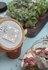Kids LED Terrarium Lamp Workshop