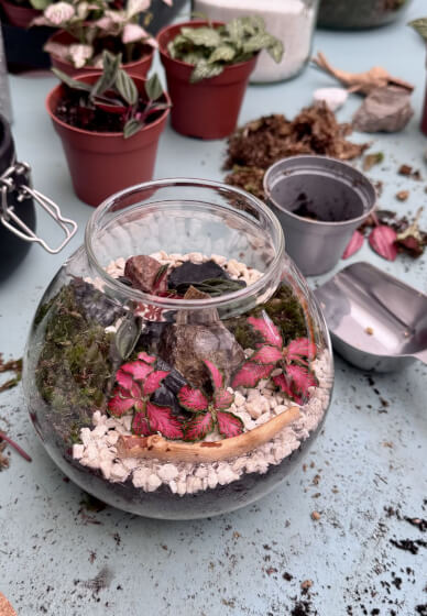 Kids LED Terrarium Lamp Workshop