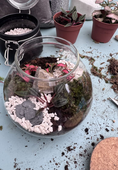 Kids LED Terrarium Lamp Workshop