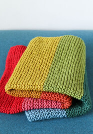 Knitting Workshop for Beginners