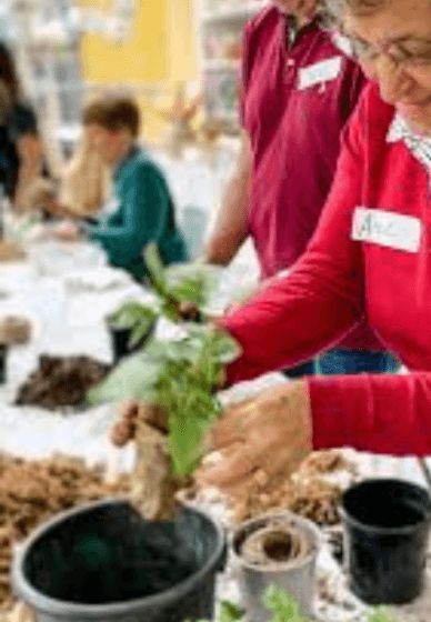 Kokedama Hanging Planter Workshop for Beginners
