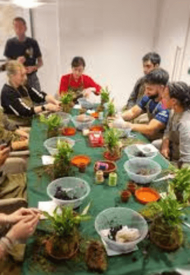 Kokedama Hanging Planter Workshop for Beginners