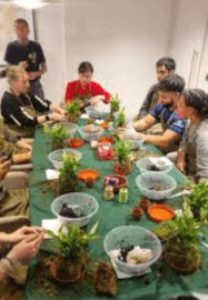 Kokedama Hanging Planter Workshop for Beginners