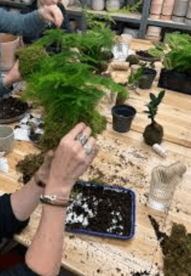 Kokedama Hanging Planter Workshop for Beginners